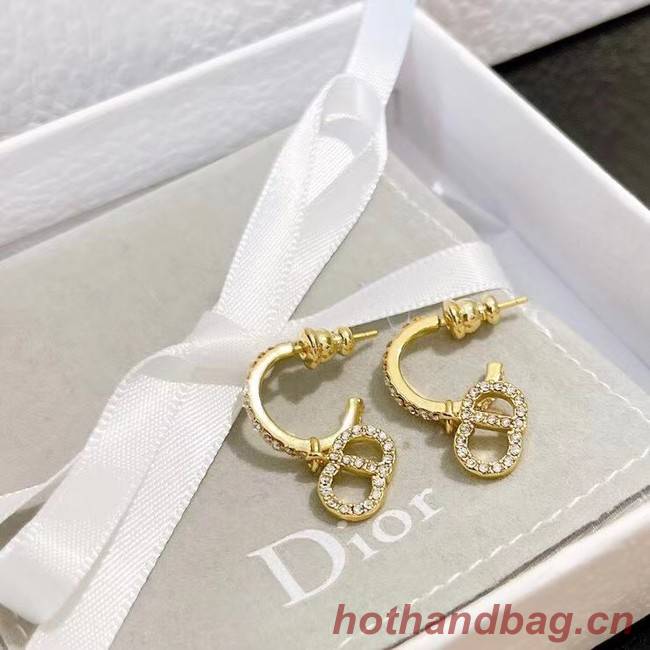 Dior Earrings CE7464