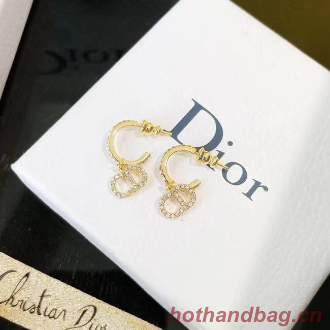 Dior Earrings CE7464