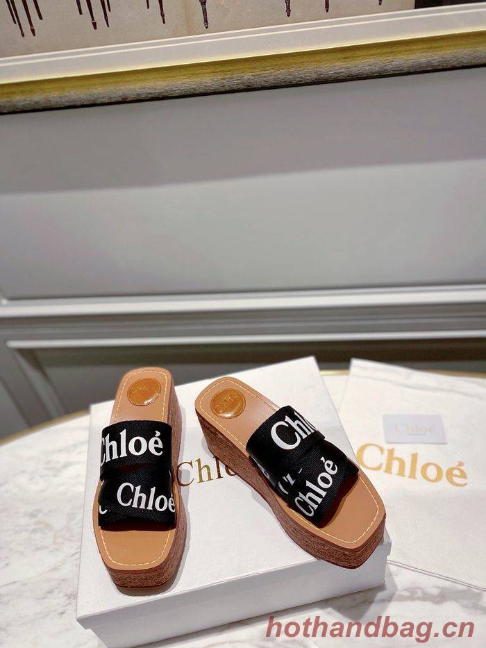 Chloe shoes CO00010