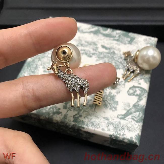 Dior Earrings CE7556