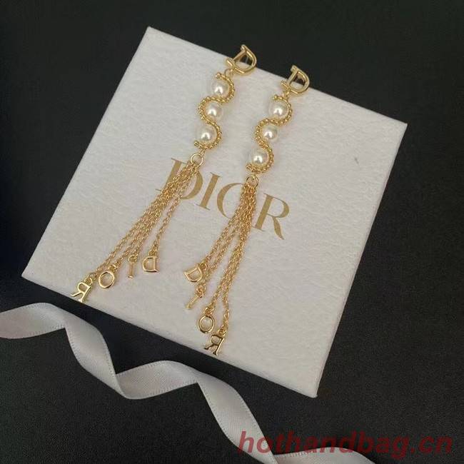 Dior Earrings CE7657