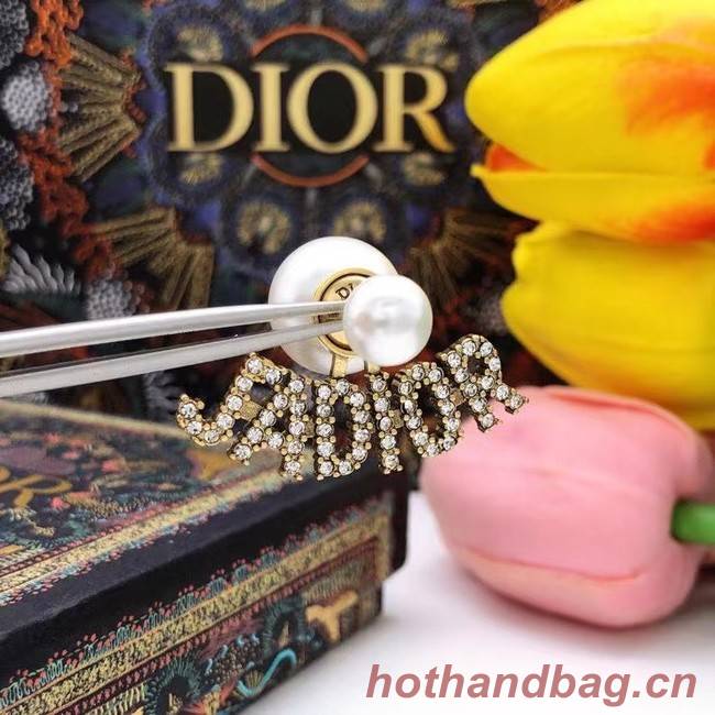 Dior Earrings CE7808