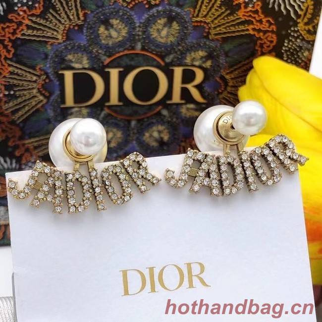 Dior Earrings CE7808