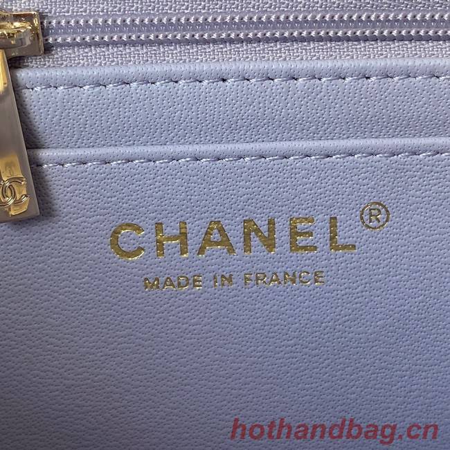 Chanel Sheepskin Leather mini flap bag with top handle AS2431 light purple