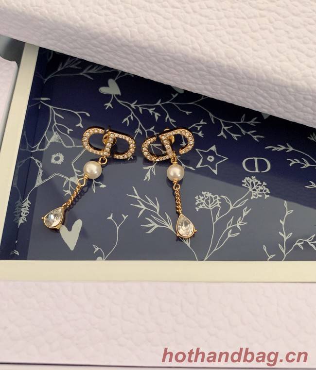 Dior Earrings CE7980