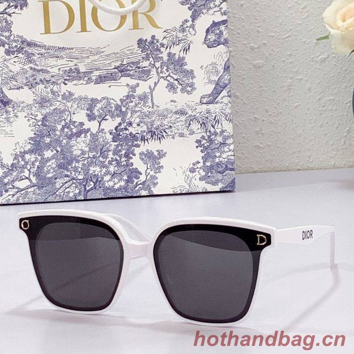 Dior Sunglasses Top Quality DIS00634