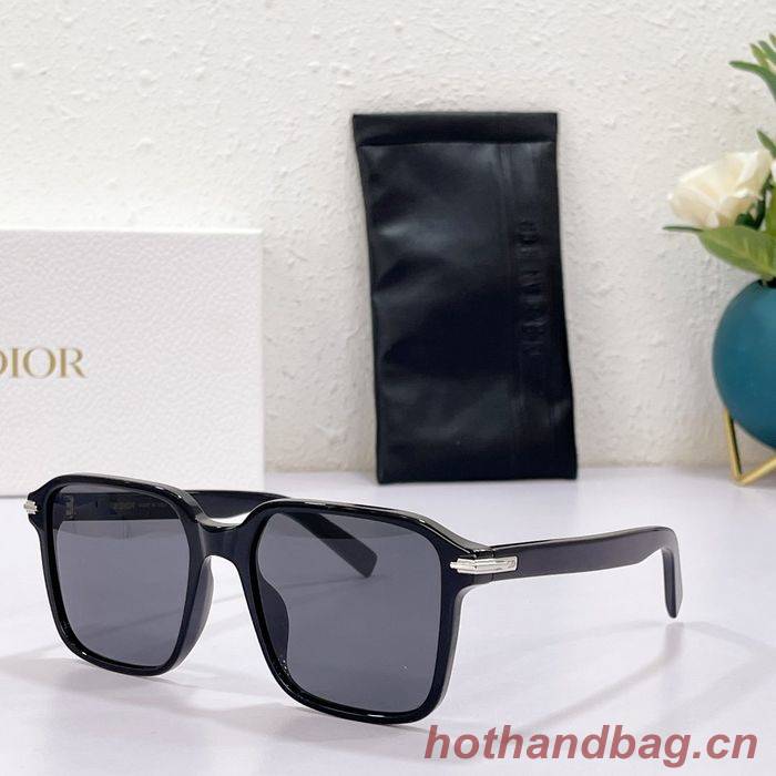Dior Sunglasses Top Quality DIS00680