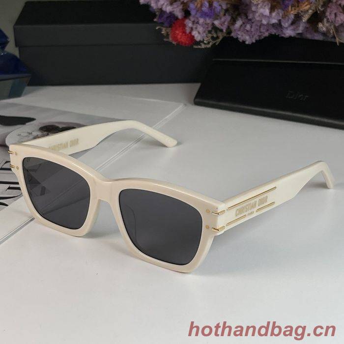 Dior Sunglasses Top Quality DIS00717