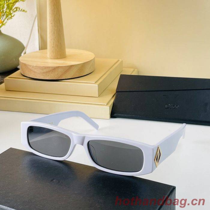 Dior Sunglasses Top Quality DIS00842