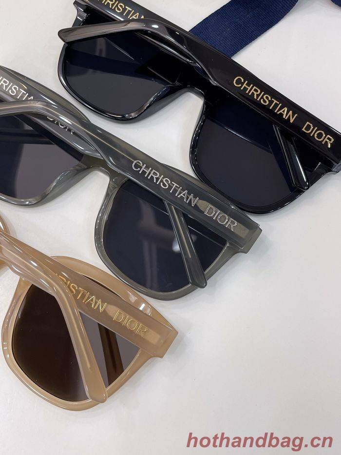 Dior Sunglasses Top Quality DIS00893