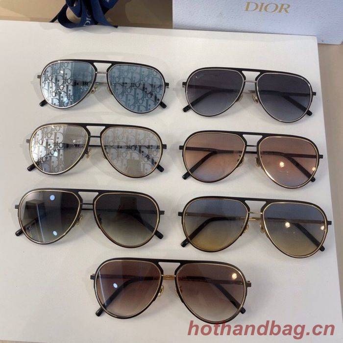Dior Sunglasses Top Quality DIS00969