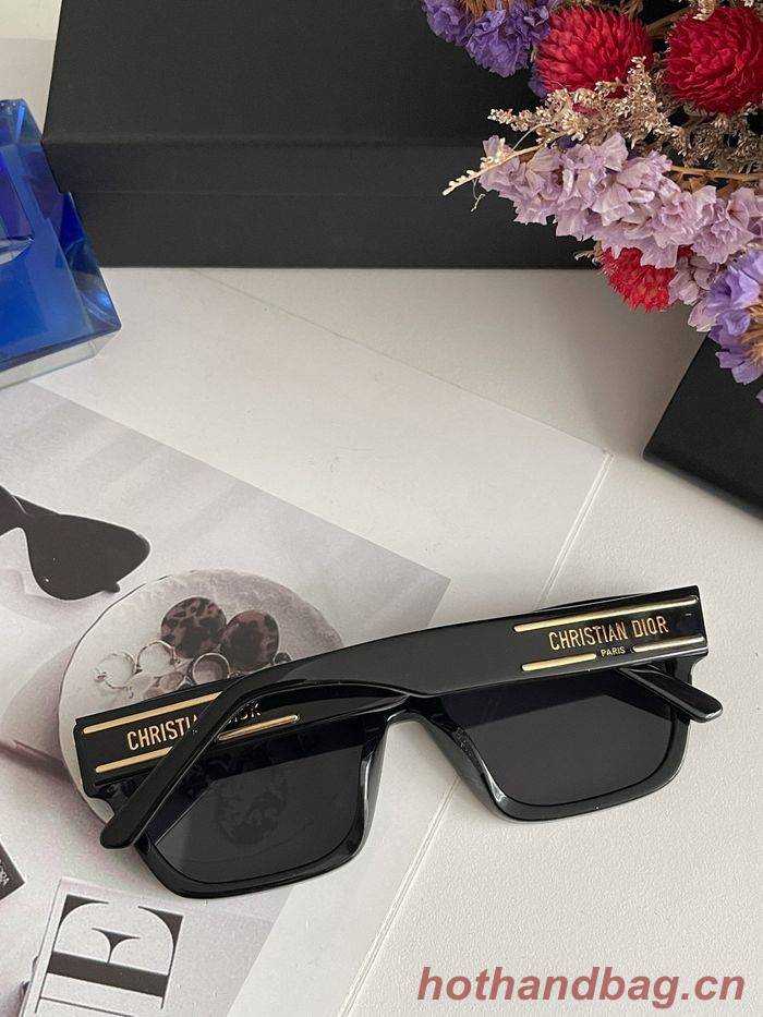 Dior Sunglasses Top Quality DIS01063