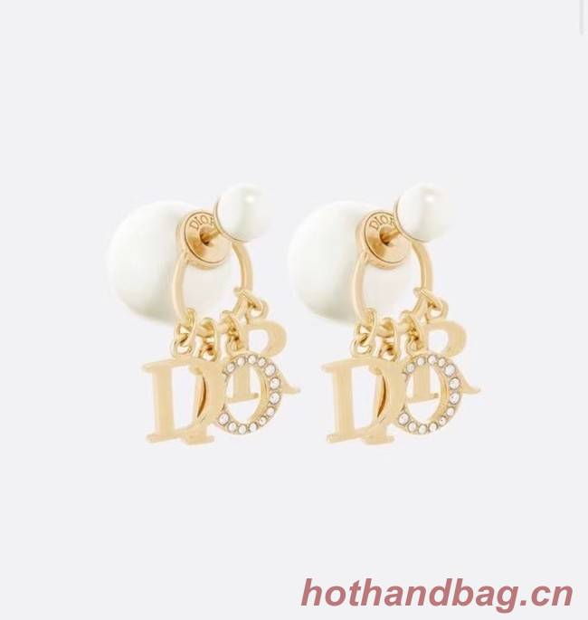 Dior Earrings CE8001