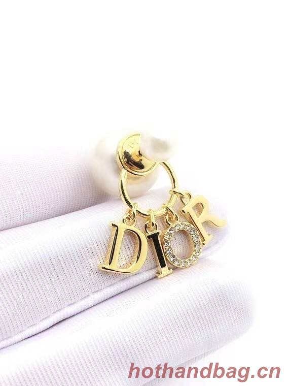 Dior Earrings CE8001