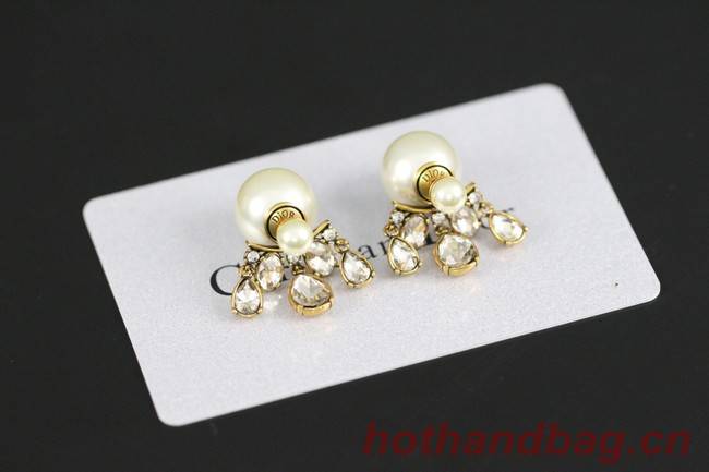 Dior Earrings CE8033