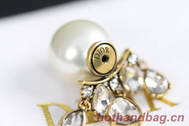 Dior Earrings CE8033