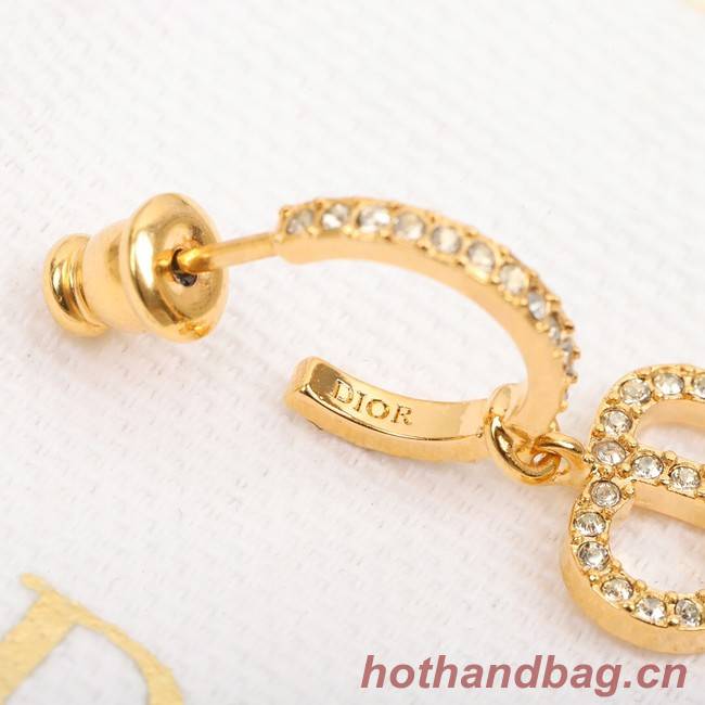 Dior Earrings CE8053