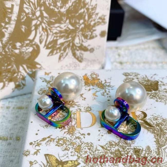 Dior Earrings CE8070