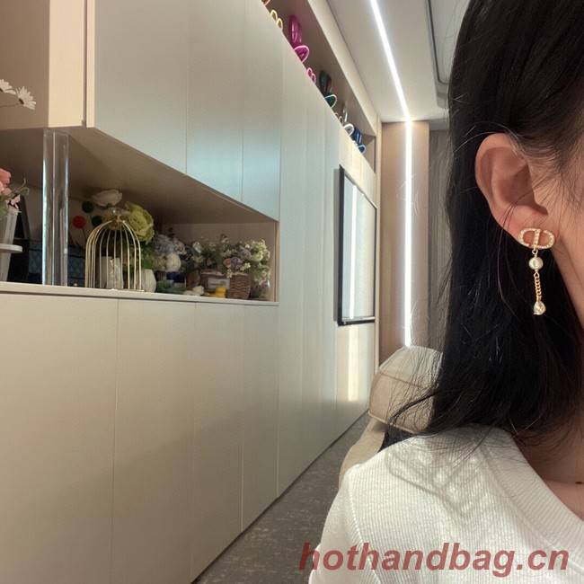 Dior Earrings CE8097