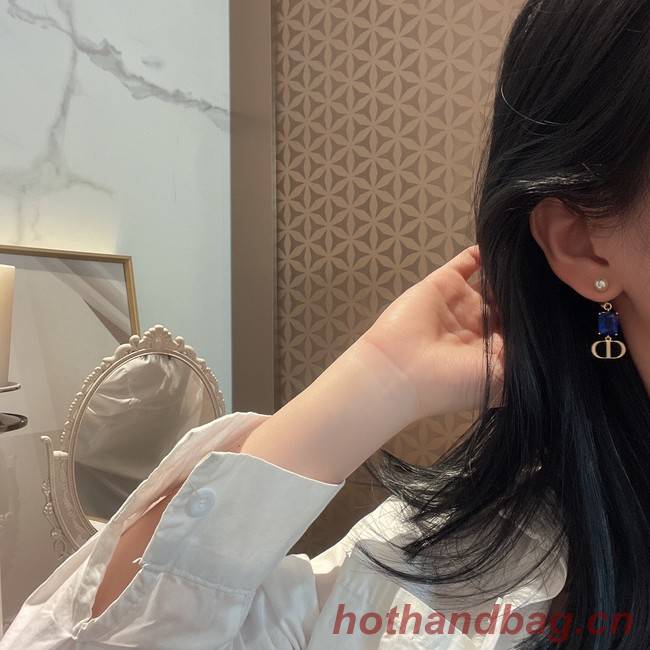 Dior Earrings CE8098