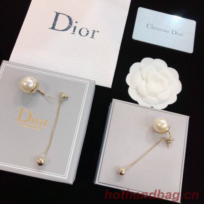 Dior Earrings CE8172