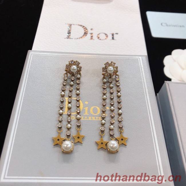 Dior Earrings CE8173