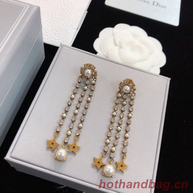 Dior Earrings CE8173