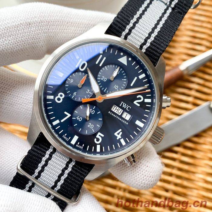 IWC Watch IWW00009-1