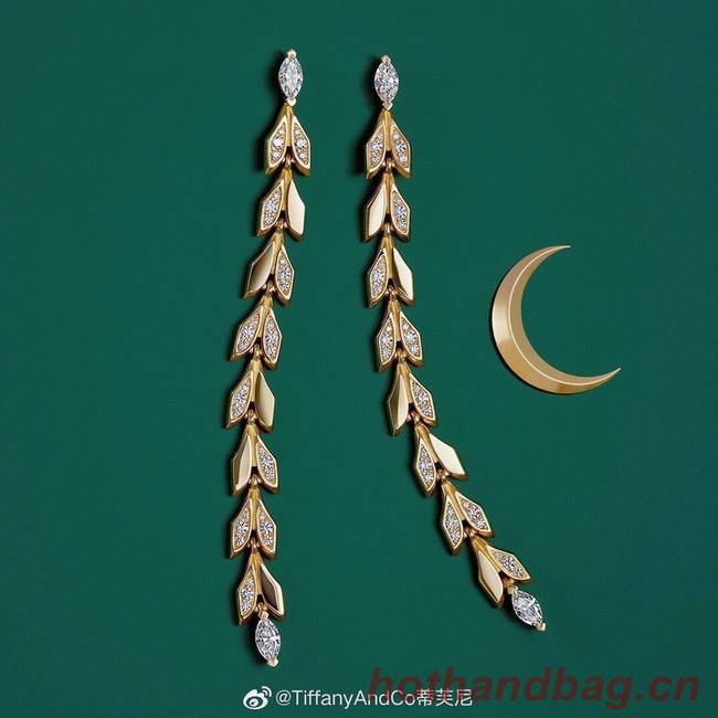 TIFFANY Earrings CE8244