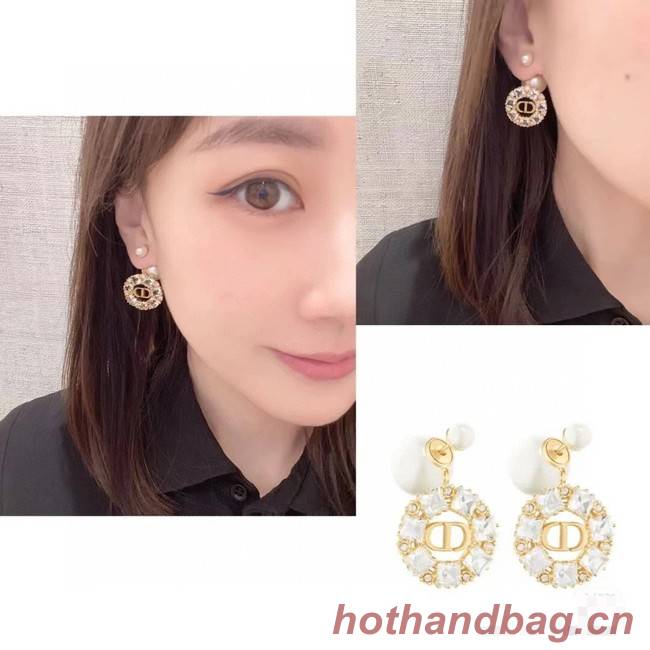 Dior Earrings CE8343