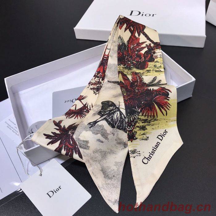 Dior Scarf DIS00001