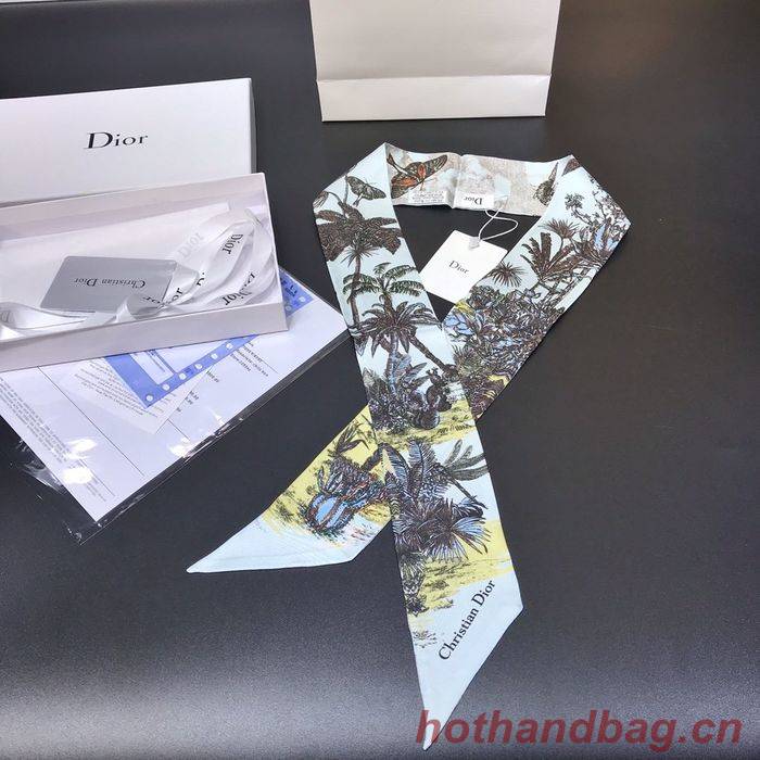 Dior Scarf DIS00002