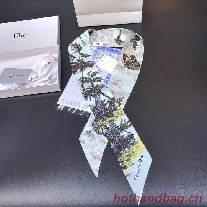 Dior Scarf DIS00002