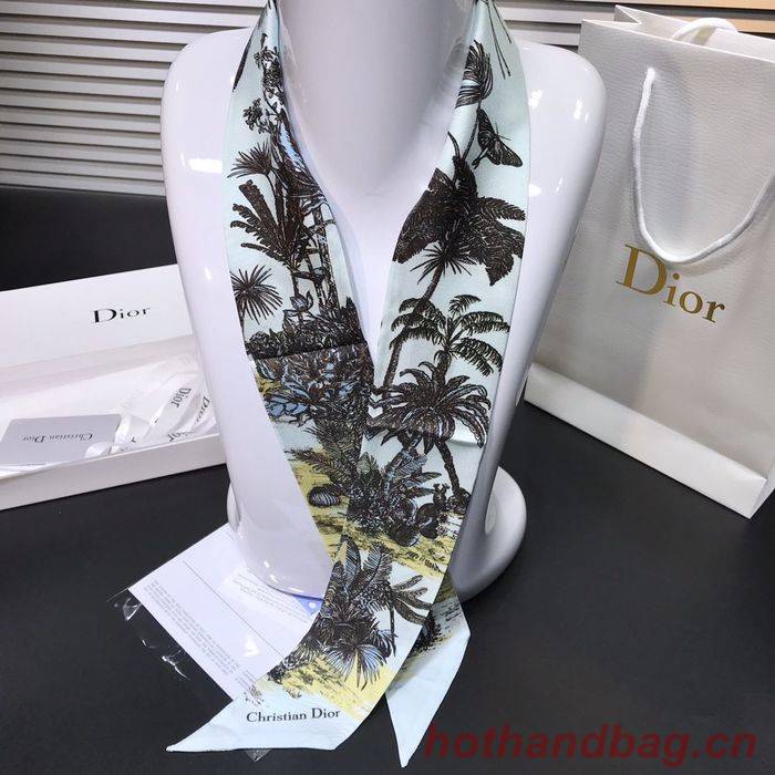 Dior Scarf DIS00002