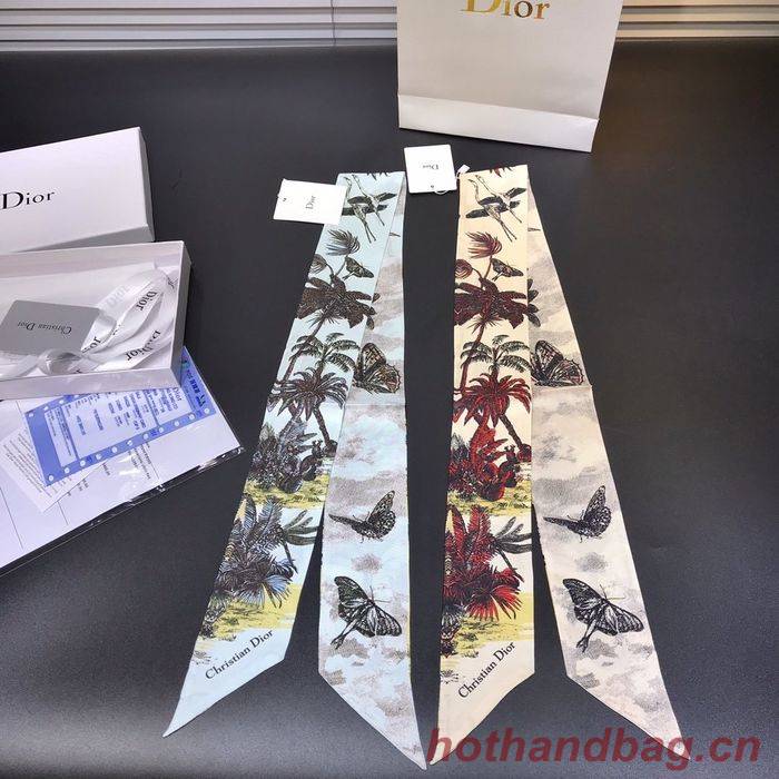 Dior Scarf DIS00002