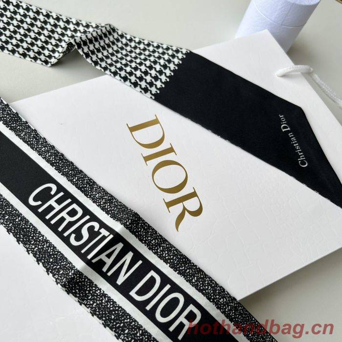 Dior Scarf DIS00009