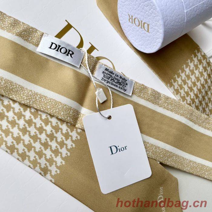 Dior Scarf DIS00011