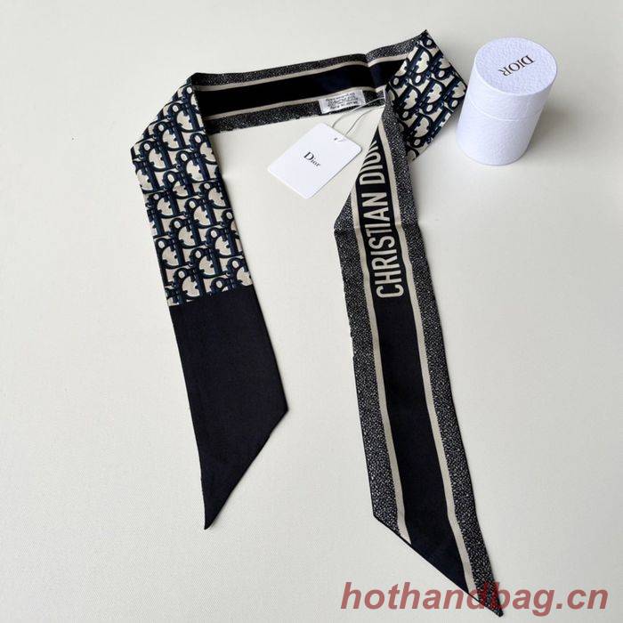 Dior Scarf DIS00014