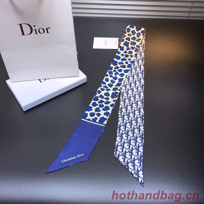 Dior Scarf DIS00015