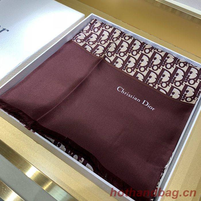 Dior Scarf DIS00019