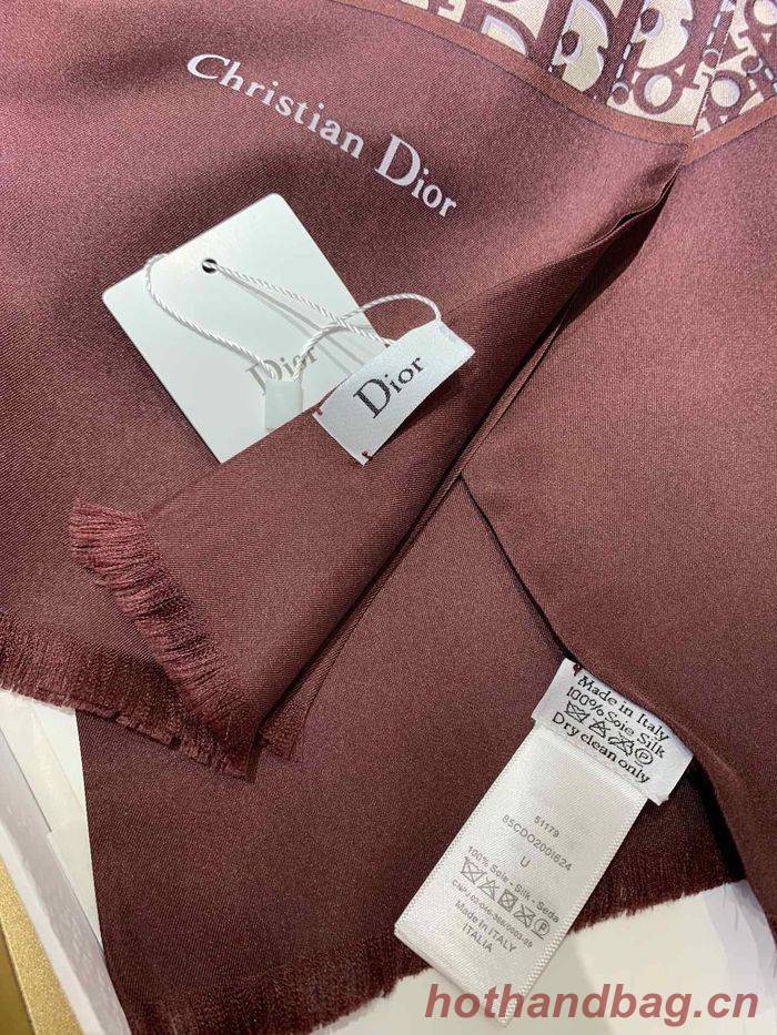 Dior Scarf DIS00019