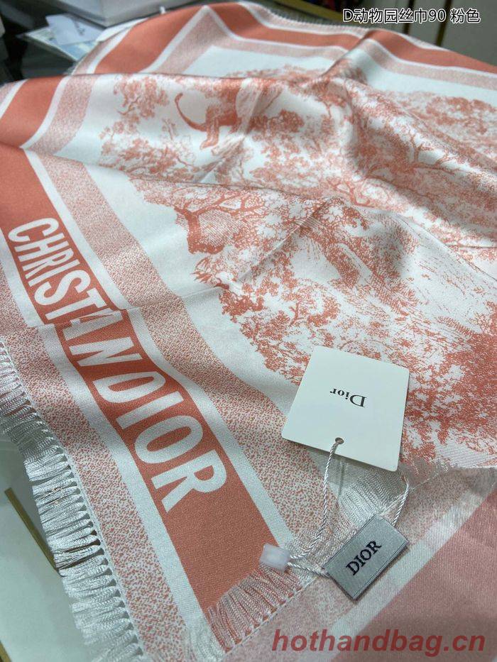 Dior Scarf DIS00025