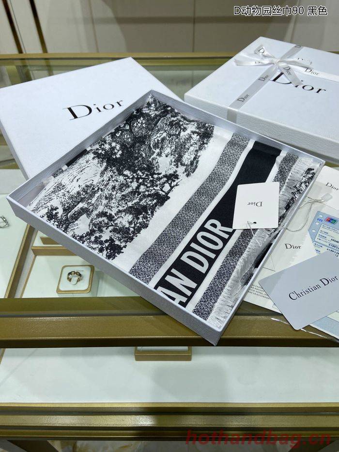 Dior Scarf DIS00026