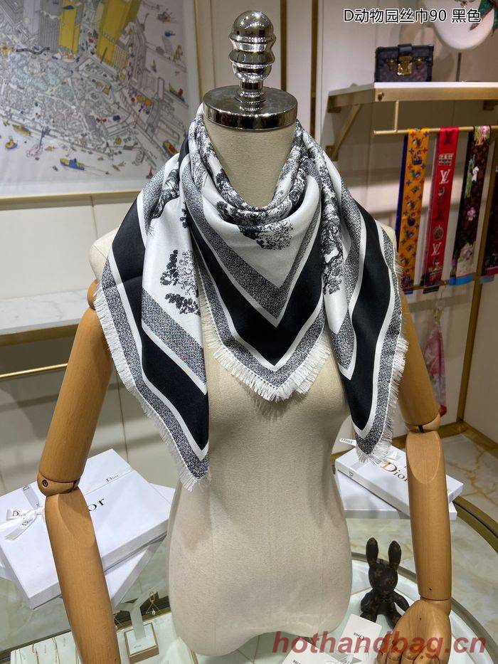 Dior Scarf DIS00026