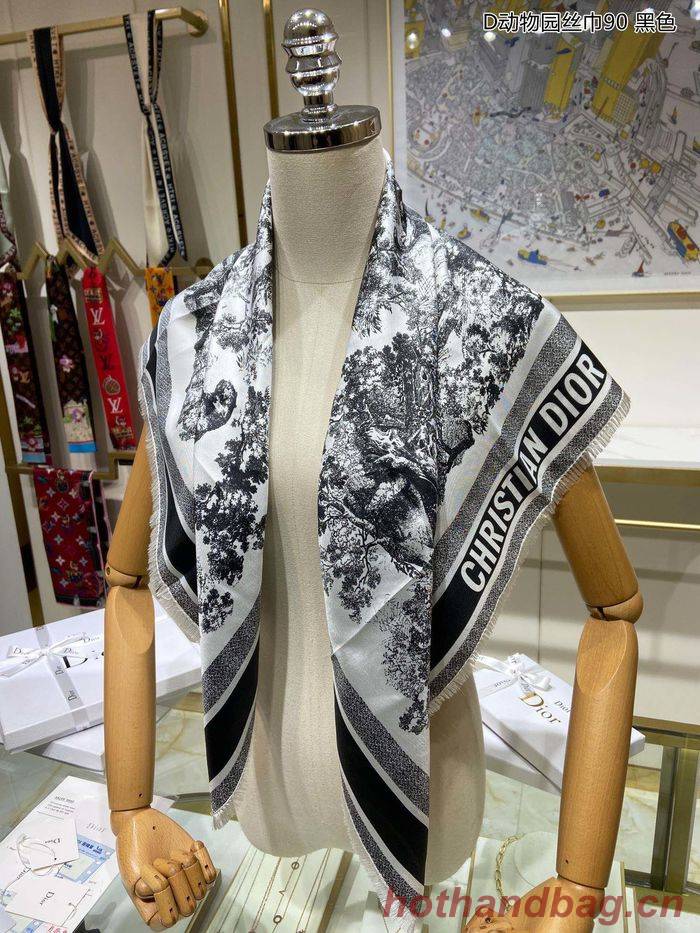 Dior Scarf DIS00026