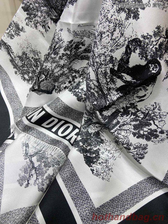 Dior Scarf DIS00026