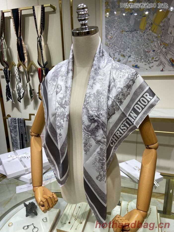 Dior Scarf DIS00029