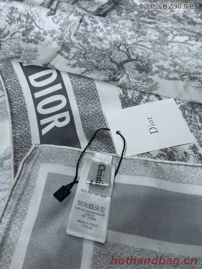 Dior Scarf DIS00029