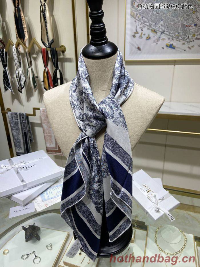 Dior Scarf DIS00031