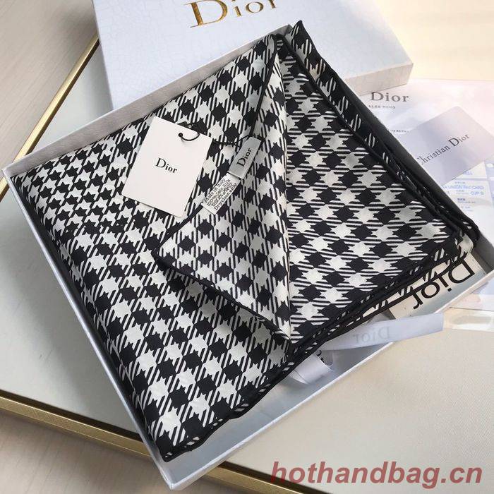 Dior Scarf DIS00036